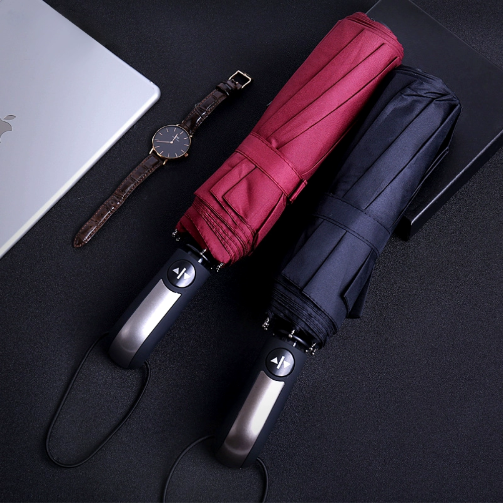 8-Bone Umbrella - 1