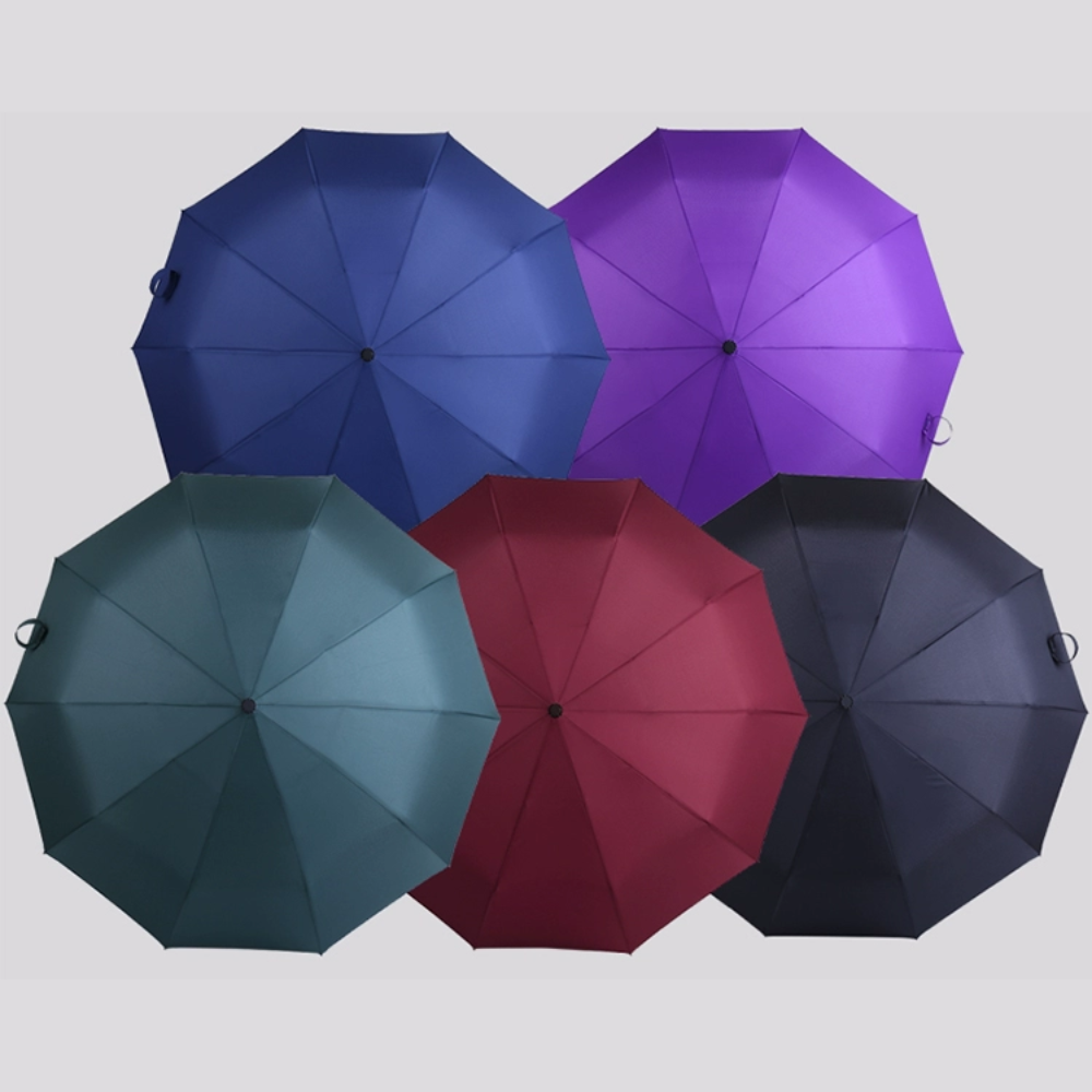8-Bone Umbrella - 3